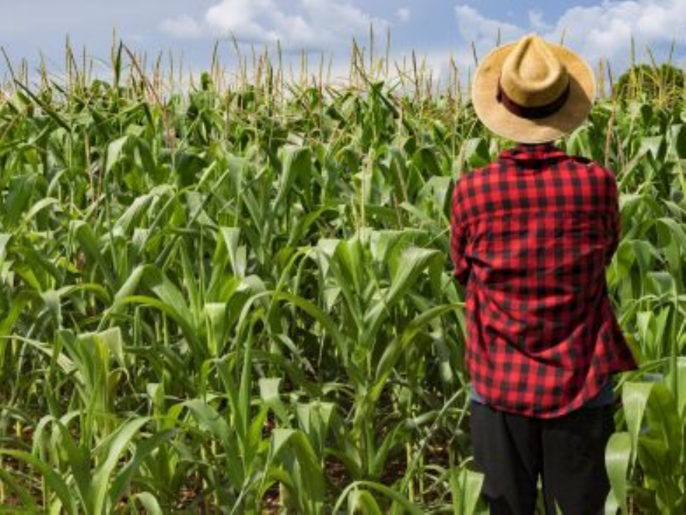 Il Dubbio: ambiente, biodiversità investimenti green