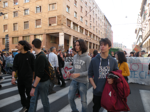 imm_7737_dscn2981.jpg