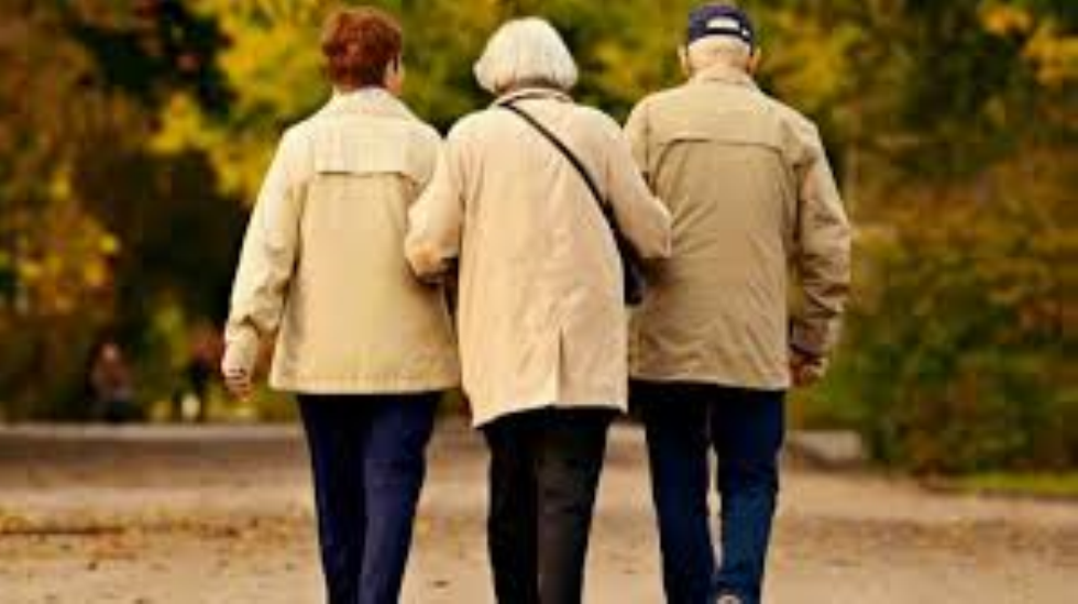 Istat, ampie disuguaglianze di reddito tra i pensionati